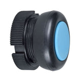 Blue dome XACA9416